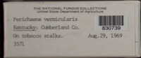 Image Associated With the Occurence